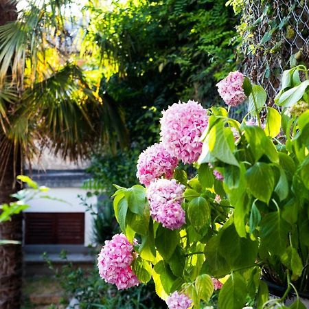 Little Fish Studio Rijeka Exterior photo